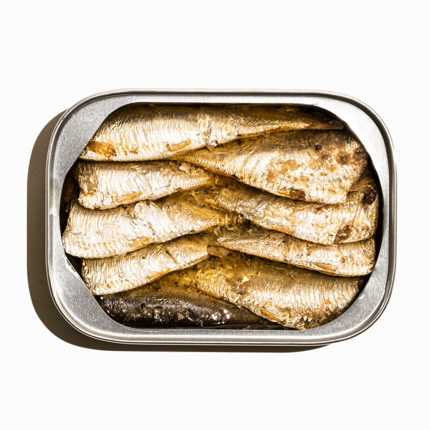 Little Sardines (3-Pack)